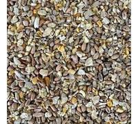 Beewarm Premium Wild Bird Food - No Mess Seeds For Garden Birds - High Energy, No Mess Bird Feed (3L Bag, No Mess Seeds)