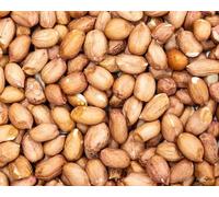 Beewarm Premium Wild Bird Food - Peanuts Whole for Garden Birds - High Energy, No Mess Bird Feed (15kg Bag, Peanuts Whole)