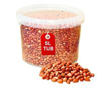 Beewarm Premium Wild Bird Food - Peanuts Whole for Garden Birds - High Energy, No Mess Bird Feed (5L Tub, Peanuts Whole)