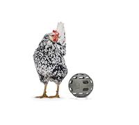 Beeztees BZ Chicken Snack Ball 15 cm Grey