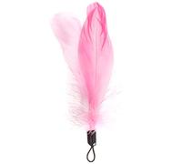 Beeztees, Kitten Rod Feathers