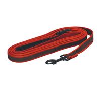 Beeztees Parinca Premium Nylon Red Dog Leash Weatherproof With Hand Loop