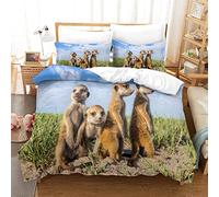 BEFASYY Meerkat Duvet Cover Meerkat Pups Bedding Set Cute Animals Comforter Cover with 2 Pillowcases Decorative Microfiber Bedspread Cover 3 PiecesDouble（200x200cm）
