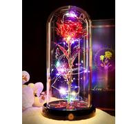 Beferr Gifts for Mum,Christmas Rechargeable Rainbow Light Up Rose in A Glass Dome,Birthday Gifts for Women Mom Wife Grandma Girlfriend,Crystal Flower Christmas Rose Gift For Friend On Anniversary