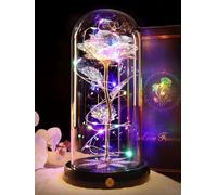 Beferr Gifts for Mum,Christmas Rechargeable Rainbow Light Up Rose in A Glass Dome,Birthday Gifts for Women Mom Wife Grandma Girlfriend,Crystal Flower Christmas Rose Gift For Friend On Anniversary