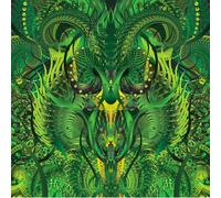 BLIND IDIOT GOD - BEFORE EVER AFTER NEW CD