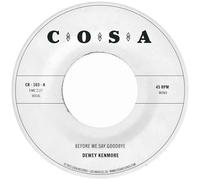 Before We Say Goodbye [VINYL]