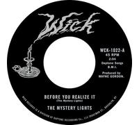 Before You Realise It/Cerebral Crack [7" VINYL]