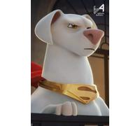 befores & afters - #9