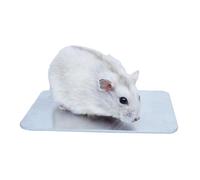 Begeterday 12 cm x 8 cm Hamster Cooling Plate, An Essential Hamster Accessory for the Summer Hamster Cage
