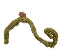 Begeterday 63.5cm Hermit Crab Climbing Toys, Bendable Hermit Crab Supplies, Ideal Hermit Crab Habitat Tank Terrarium Accessories