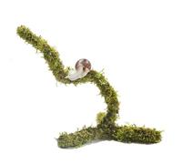 Begeterday Bendable Pet Snail Climbing Toys, Ideal Snail Terrarium Accessories, Nice for Pet Snails That Like to Climb,12 Inch