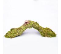 Begeterday Hermit Crab Climbing Toys, 34cm Bendable Climbing Bridge, Ideal Hermit Crab Supplies for 10 Gallon Hermit Crab Tank