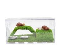 Begeterday Snail Terrarium Kit, Include 28.5cm x 20cm x 15cm Snail Terrarium,Crawling Mat,Climbing Toys,Hiding Spot,Two Shallow Dishes