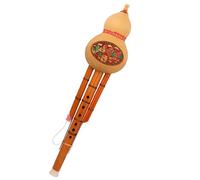 Beginner Adult Double Tone Hulusi Flute Chinese Traditional C Key/B Flat Hulusi With Case Professional Hulusi (Color : Bb key)