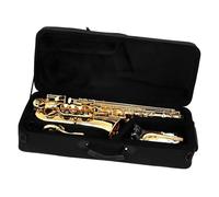 Beginner Alto Saxophone C Key Gold Comes with Portable Case Reed Cleaning Kit Gloves Neck Strap Stand and Accessories Beginner Saxophone