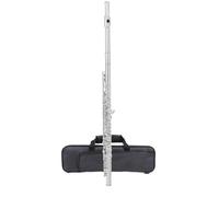 Beginner C Flute 16 17 Hole Flute Instrument C Key Flute Beginner Adult Exam Professional Performance Silver Plated(B)
