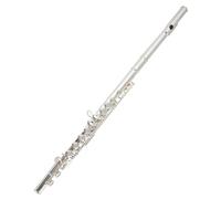 Beginner C Flute 16 Closed Hole Silver-plated Left-hand Flute Backhand C-key Adult Professional Grade Test Playing Instrument
