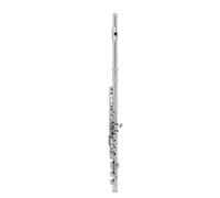 Beginner C Flute 16 Closed Holes C Flute Professional Transverse Flute Concert Musical Instrument With Box Cloth Stick Gloves(Silver)