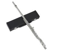 Beginner C Flute 16 Closed Open Holes C Key Professional Transverse Flute Concert Musical Instrument With Box Cloth Stick Gloves