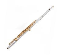 Beginner C Flute Beginner Adult Flute Type The 16 Key Hole Closed C Flute Silver Gold Keys Instrument Flute With Packaging