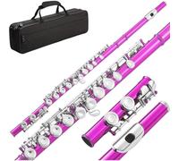 Beginner C Flute Closed Hole C Flute 16 Keys Instrument For Student Beginners With Kit Stand Carrying Case Gloves And Tuning Rod(Pink)