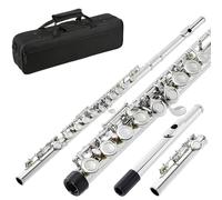 Beginner C Flute Closed Hole C Flute 16 Keys Instrument For Student Beginners With Kit Stand Carrying Case Gloves And Tuning Rod(Silver)