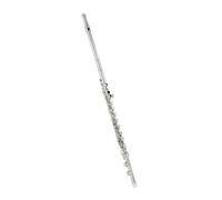 Beginner C Flute Flute Instrument 16/17 Hole C Key Alto White Copper Silver Plated Beginner Performance Examination Woodwind Instrument(A)