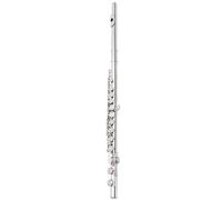 Beginner C Flute Flute Instrument C Key 16/17 Key Closed Open Hole Silver Plated Beginner Graded Performance(B)
