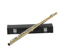 Beginner C Flute Gold And Silver Key 16 Hole C Key Flute Brass Tube Beginner Exam Performance Grade Flute Instrument Set