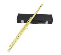 Beginner C Flute Gold Plated 16 Holes C Tone Flute E Key Woodwind Instrument Nickel Plated Silver Cupronickel Tube With Accessories