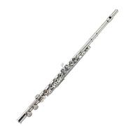 Beginner C Flute Left-handed 16-hole C Key Flute Closed Holes Nickel-plated Backhand Professional Flute Woodwind Musical Instrument