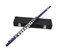 Beginner C Flute Purple 16 Holes C-tuning Flute E Key Woodwind Instrument Nickel Plated Silver Cupronickel Tube Flute With Accessories