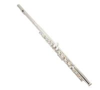Beginner C Flute Silver-plated 16-hole C Key With E Key Open And Closed Hole Professional Beginner Playing Test Instrument(B)