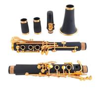Beginner Clarinet Professional Bb Clarinet 17 Key ABS Body Material Woodwind Musical Instruments Durable(E111)
