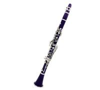 Beginner Clarinet Purple Bb Clarinet B-flat Beginner Clarinet For School Orchestras Adults With Hard Shell Bracket Gloves(Clarinet)