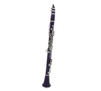 Beginner Clarinet Purple Clarinet 17 Keys Bb B Flat Tone Professional Woodwind Instrument Bakelite Clarinet With Box
