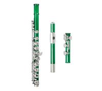 beginner Flute Sets C Tone Green 16 Hole Flute With Leather Case(Green)