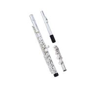 beginner Flute Sets Flute Instrument 17 Open And Closed Holes Dual Purpose Professional E Key B Tail Beginner
