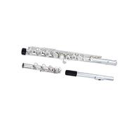 beginner Flute Sets Flute Instrument 17 Open And Closed Holes Dual Purpose Professional E Key Split B Tail Beginner