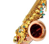 Beginner Sax E-tune Professional Alto Saxophone Phosphor Bronze Gold-plated Tube Solid Two-color SAX Instrument(Bag B)