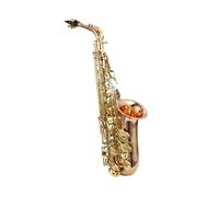 Beginner Sax Saxophone E Flat Alto Grading Test Instrument Rich Gold Double Rib Configuration