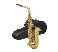 Beginner saxophone Adults Eb Alto Saxophone Brass Body E Flat Sax Set With Case Sax Accessory Professional Woodwind Instruments