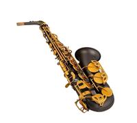 Beginner saxophone Adults Performer Type Alto Saxophone Eb Black Black Nickel Plated Carved Body Professional Woodwind(B)