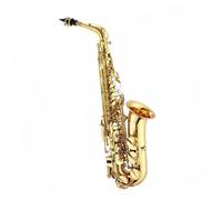Beginner saxophone Alto Eb Tune Saxophone Brass Musical Instrument Gold Lacquer Sax With Case Saxophone Accessories