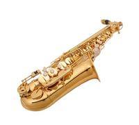 Beginner saxophone Alto Sax SUZUKI Brass Instrument E Flat Music Professional Saxophone And Parts Beginner Adult Performance
