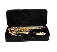 Beginner saxophone Alto Saxophone Brass Body C Tune Carved Gold Saxophone Set With Standard Double Bent Neck Case Strap Parts