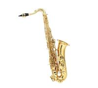 Beginner saxophone Alto Saxophone C Key Brass Body Carved White Shell Saxophone With Standard Double Curved Nec Box Strap