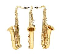 Beginner saxophone Alto Saxophone C Key Brass Body Saxophone Set Professional Woodwind Instruments With Case Reed Sax Accessory