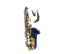 Beginner saxophone Alto Saxophone Eb Brass Blue Gold Key Carved Surface E Flat Instrument Sax With Case